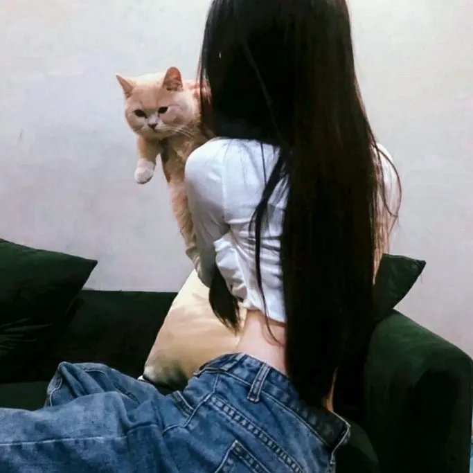 火线密杀令